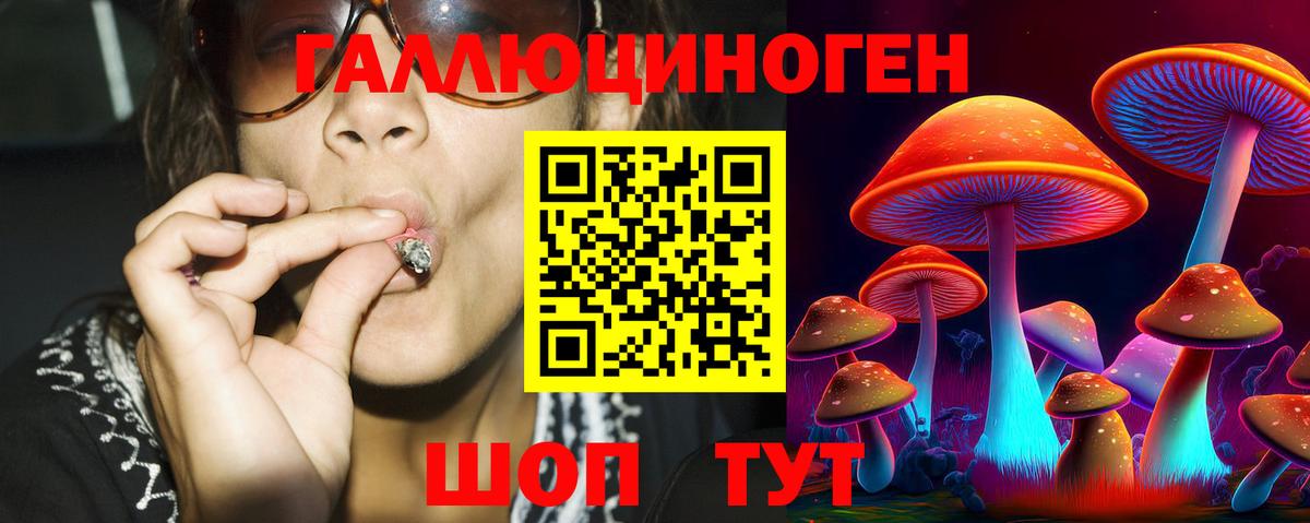 Павлово  Галлюциногенные грибы Cubensis  Псилоцибиновые грибы GOLDEN TEACHER  закладки  Вход с VPN 